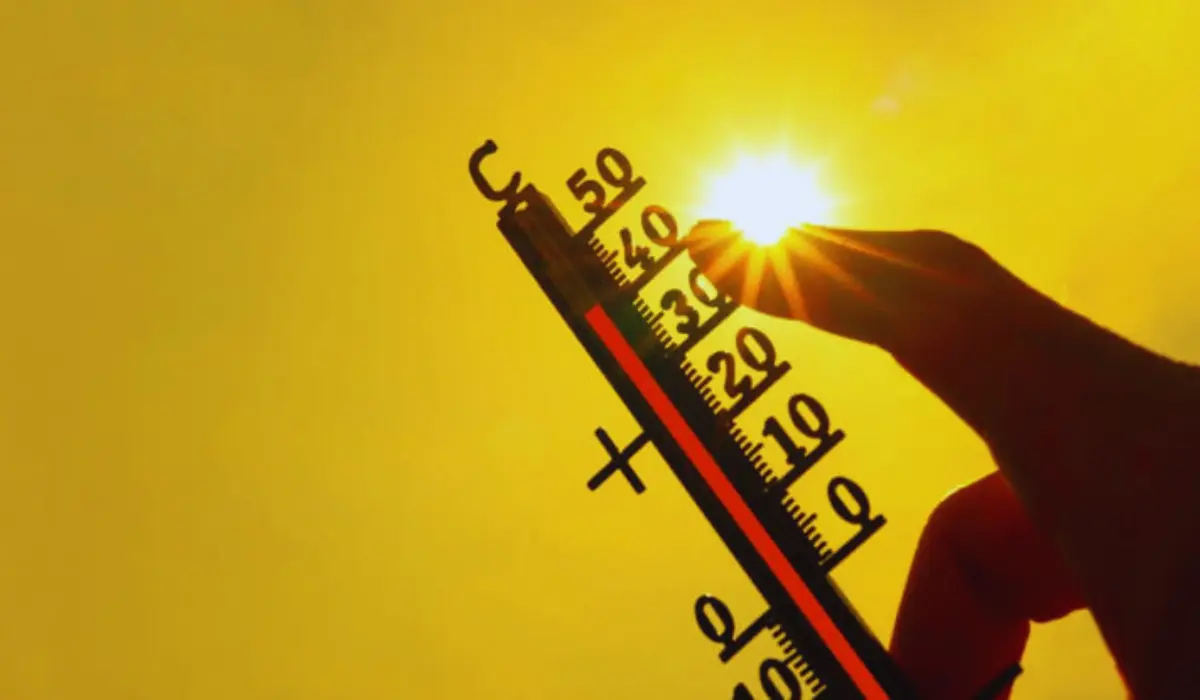 Karte mit prognostizierten Höchsttemperaturen für Deutschland im August